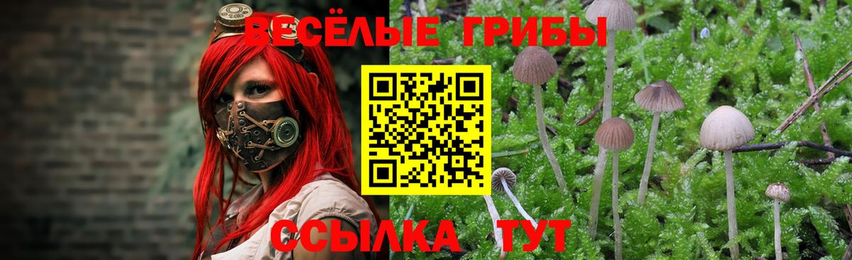 Галлюциногенные грибы мухоморы  Вход с VPN  Рославль 